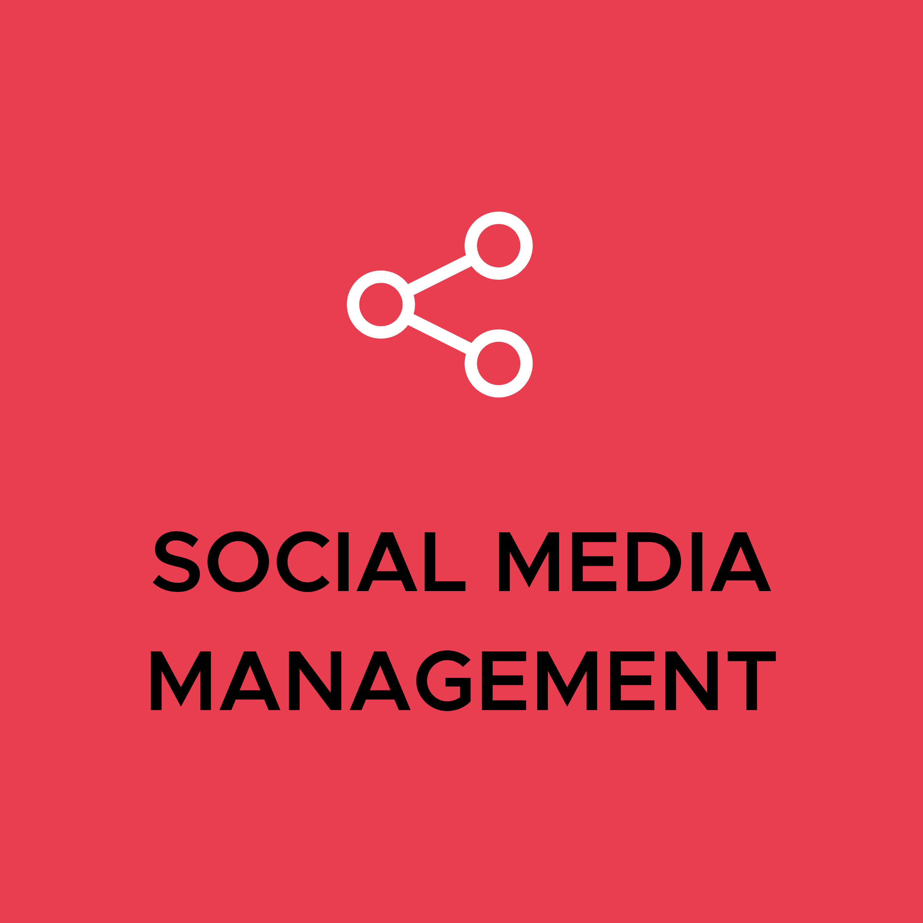 Services: Social Media Management