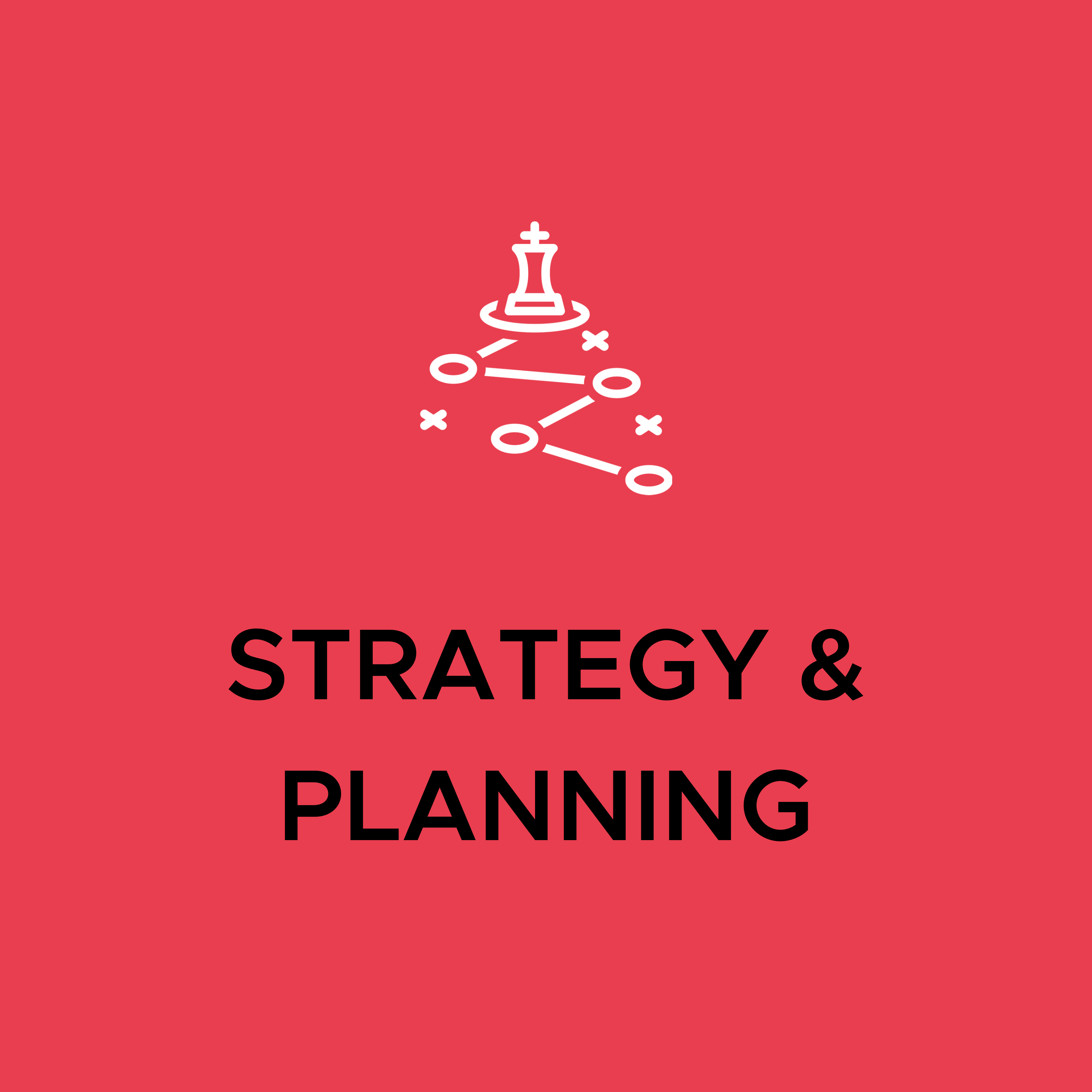 Services: Strategy & Planning