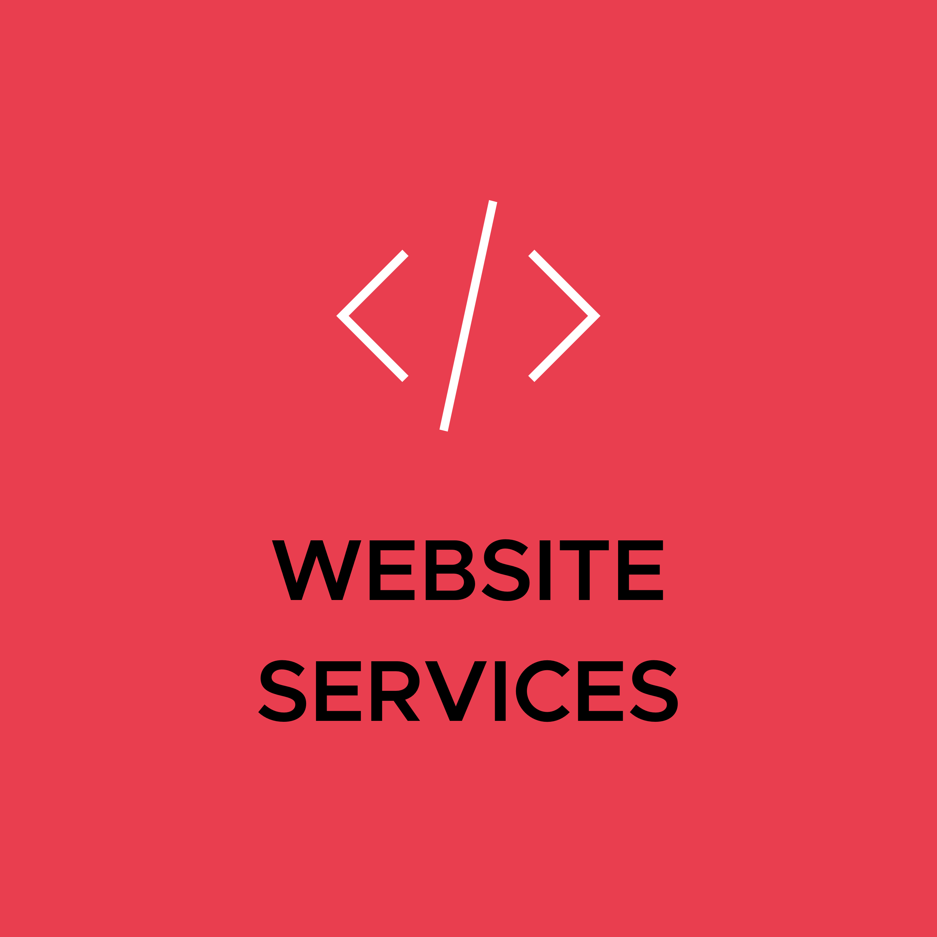 Services: Website Services